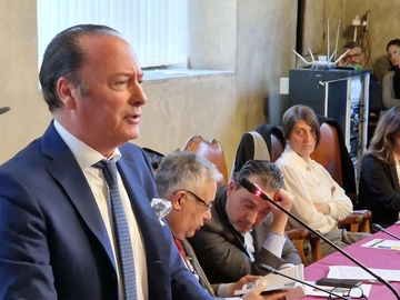 immagine articolo