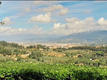 immagine articolo