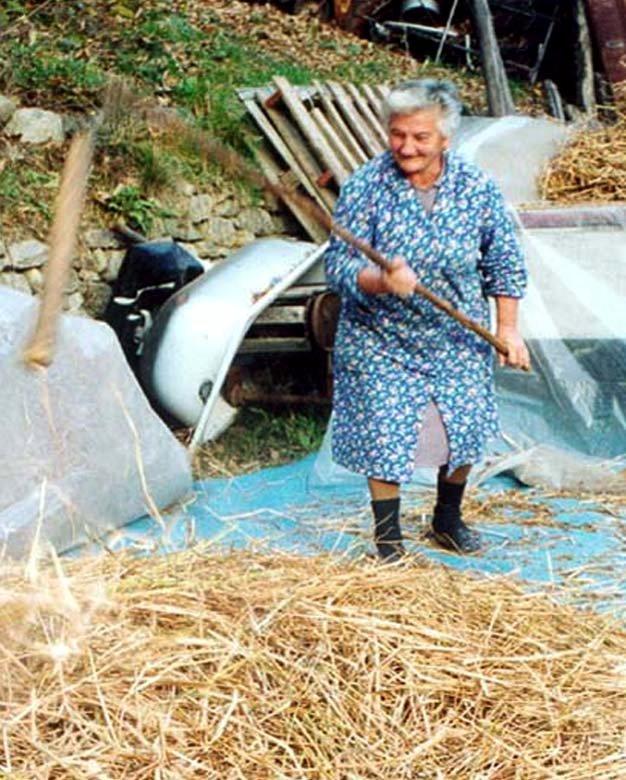 Agricoltura, fra storia e futuro. Una festa per famiglie e bambini Agricoltura, fra storia e futuro. Una festa per famiglie e bambini