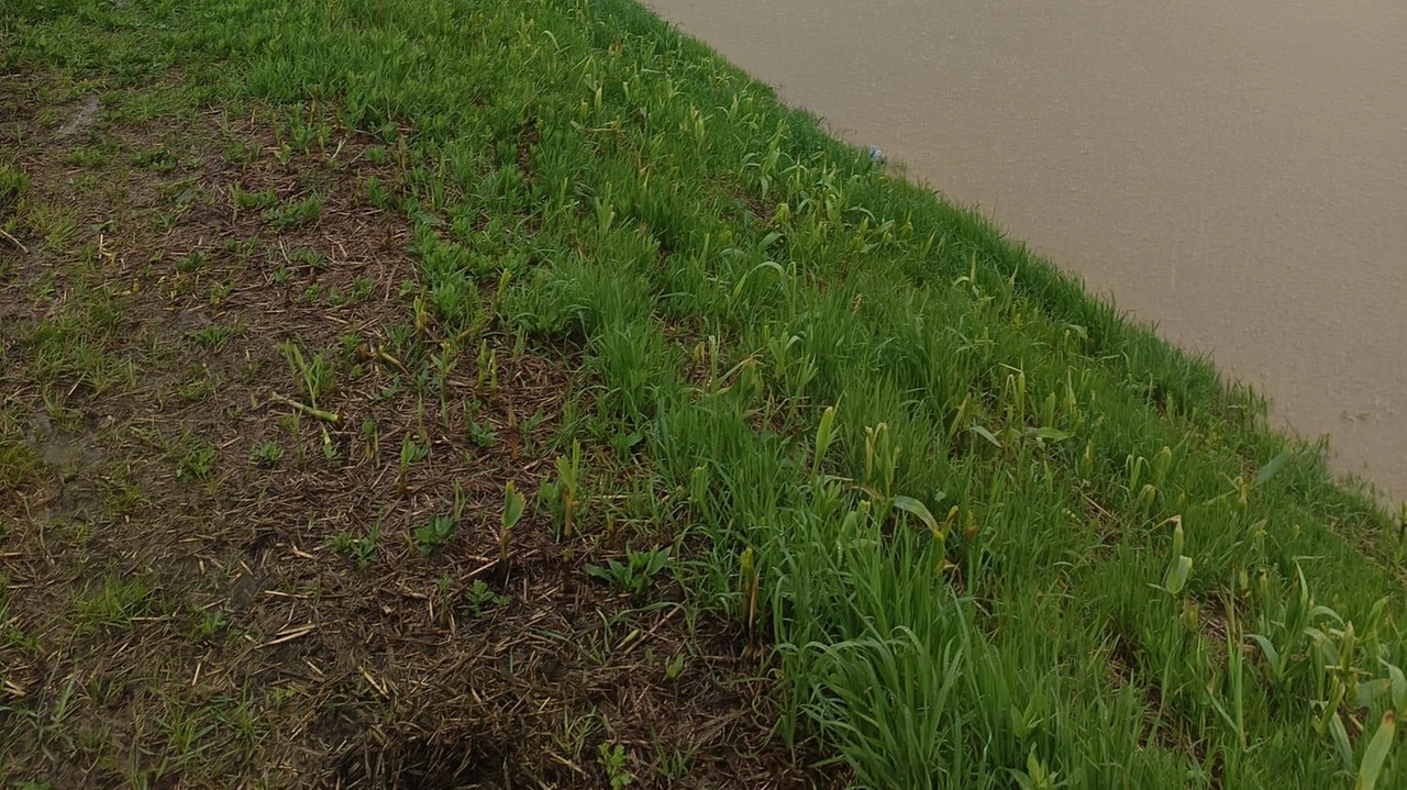 I recenti allagamenti causati dal maltempo dello scorso venerdì quando un’alluvione ha creato tanti danni