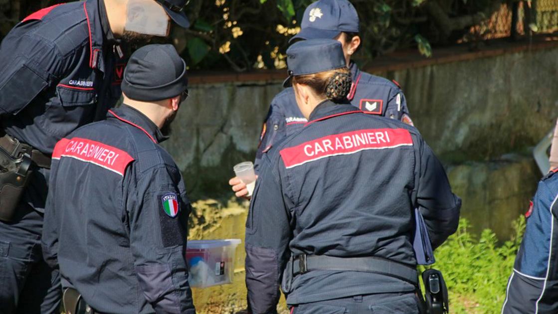 Cani importati illegalmente, sgominata banda di trafficanti Cani importati illegalmente, sgominata banda di trafficanti
