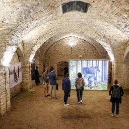 Inaugurata la 15a edizione di Cortona on the move
