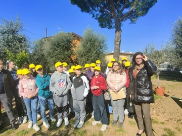 immagine articolo