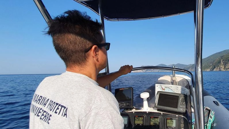Amp, 164 autorizzazioni. Le associazioni incalzano: "Servono regole chiare"