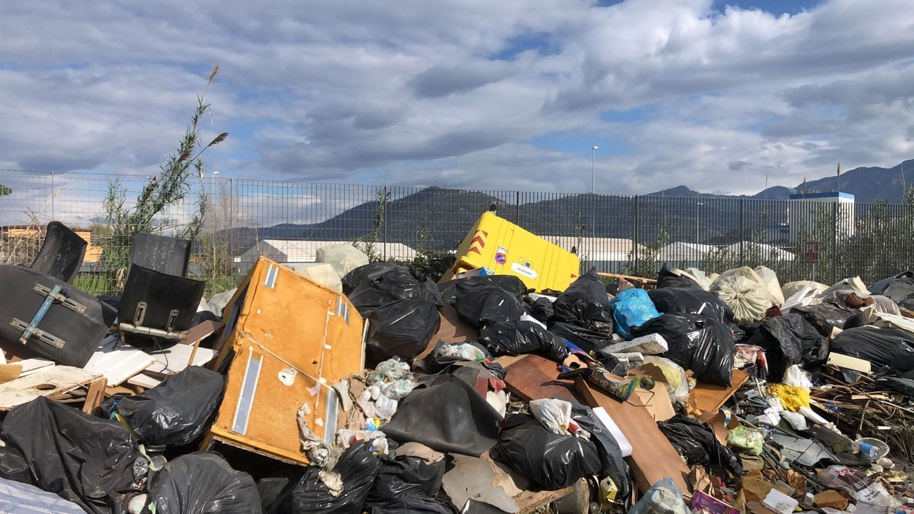 Una parte dei rifiuti rimossi