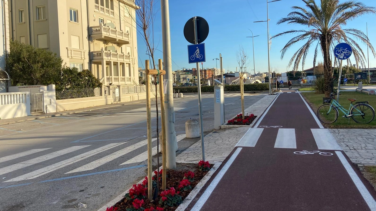 Piantate oltre 40 nuove tamerici su viale Pistelli Piantate oltre 40 nuove tamerici su viale Pistelli