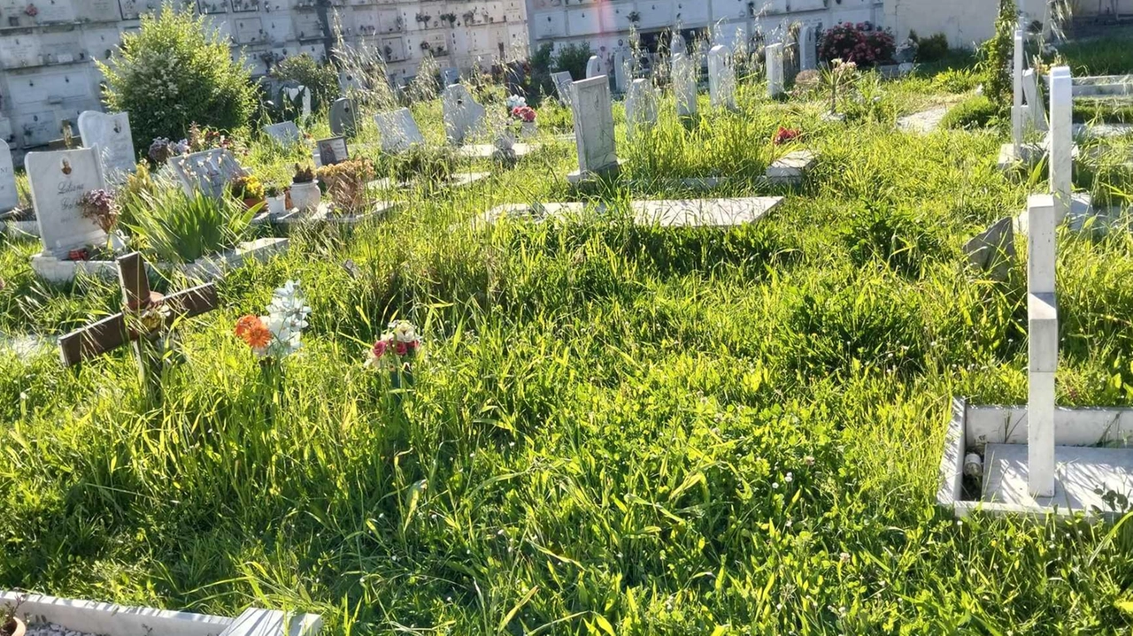 A un mese dall’appello della minoranza consigliare rappresentata dai gruppi di RicominciAmo Castelnuovo e Castelnuovo civica che segnalavano "la... A un mese dall’appello della minoranza consigliare rappresentata dai gruppi di RicominciAmo Castelnuovo e Castelnuovo civica che segnalavano "la...