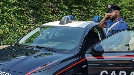 Sulla vicenda stanno indagando i carabinieri (Foto di repertorio) Sulla vicenda stanno indagando i carabinieri (Foto di repertorio)