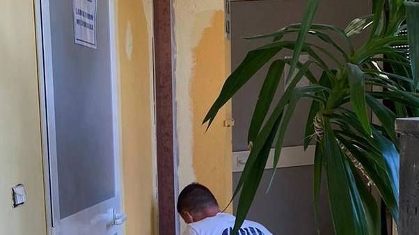 Lavori ad Aulla per preparare le scuole Lavori ad Aulla per preparare le scuole