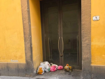 immagine articolo