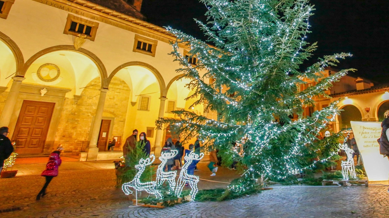 Spettacoli, arte e concerti. Le iniziative in programma. fino al 6 gennaio.