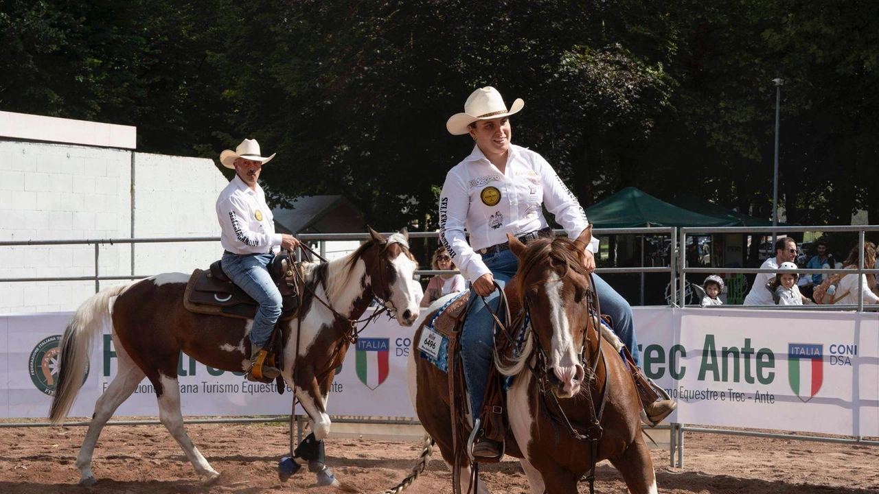 Ricco il programma dell’edizione 2025 della Mostra nazionale del cavallo Ricco il programma dell’edizione 2025 della Mostra nazionale del cavallo