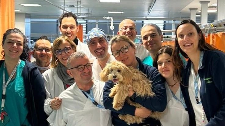 Il cagnolino Milo in ospedale. La sorpresa per la sua padrona ricoverata