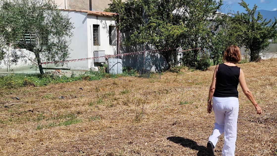 L’anziano massacrato a coltellate. Poi chiuso in un sacco e sotterrato. Il figlio non risponde al giudice L’anziano massacrato a coltellate. Poi chiuso in un sacco e sotterrato. Il figlio non risponde al giudice