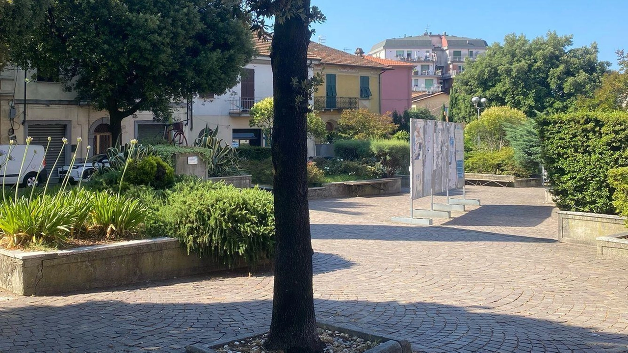 Uno scorcio della piazza come è oggi: entro fine luglio avranno inizio i lavori di riqualificazione dell’area che comporteranno anche un riposizionamento dei parcheggi disponibili Uno scorcio della piazza come è oggi: entro fine luglio avranno inizio i lavori di riqualificazione dell’area che comporteranno anche un riposizionamento dei parcheggi disponibili