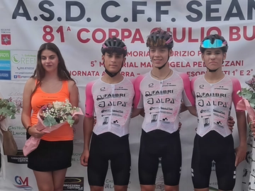 immagine articolo