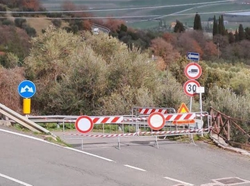 immagine articolo