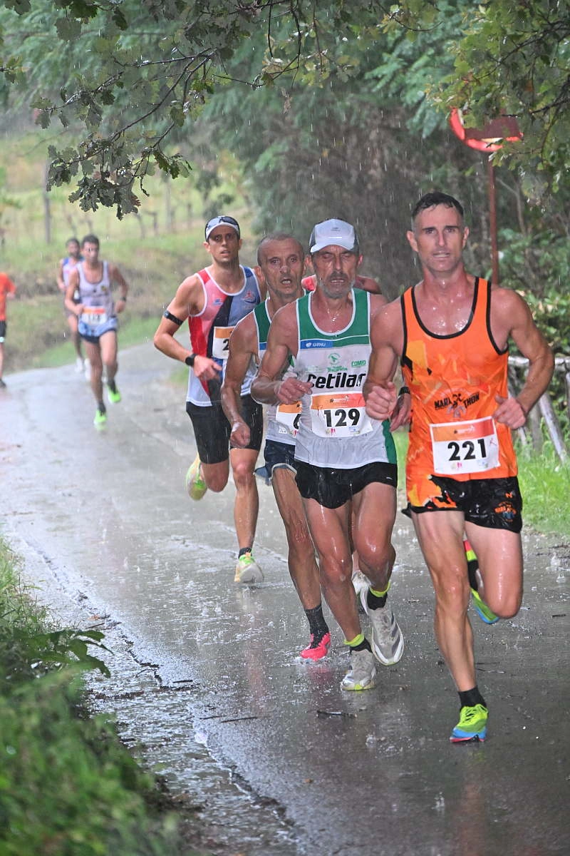 immagine di sfondo 29