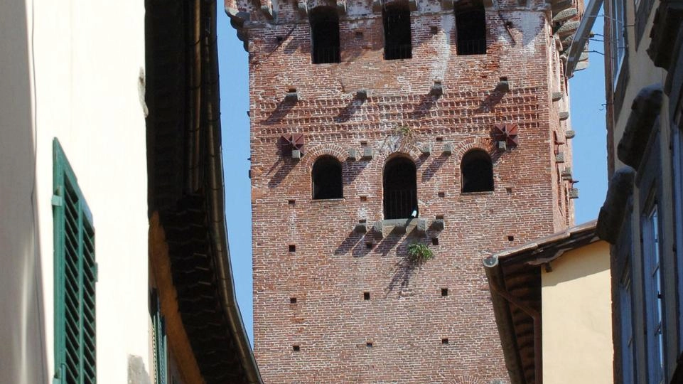 La Torre Guinigi resta il monumento lucchese più amato dai visitatori (foto Alcide)