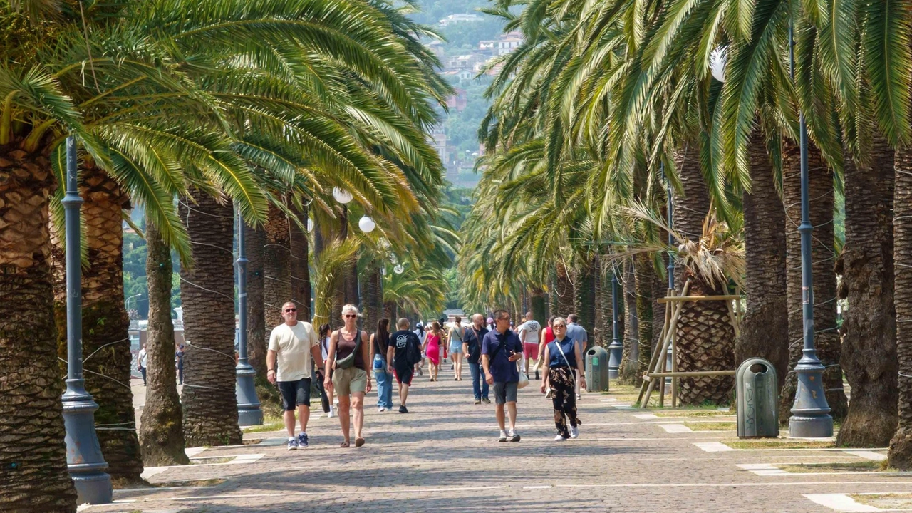 Onwach, sentinelle del lungomare: "Piscina e auditorium per eventi"