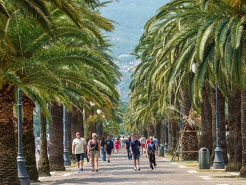 immagine articolo