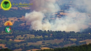 Vasto incendio in Maremma, a fuoco boschi e aree coltivate: mobilitati anche 3 elicotteri