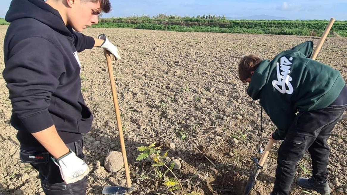I militari del Centro, Carabinieri e studenti del "Lorena" insieme. Dopo la bonifica del terreno è stato predisposto un piano. di recupero e di ripristino della biodiversità nell’intera zona. I militari del Centro, Carabinieri e studenti del "Lorena" insieme. Dopo la bonifica del terreno è stato predisposto un piano. di recupero e di ripristino della biodiversità nell’intera zona.