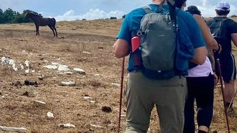 Il cavallo amato da tutti simbolo di resilienza . Il cavallo amato da tutti simbolo di resilienza .