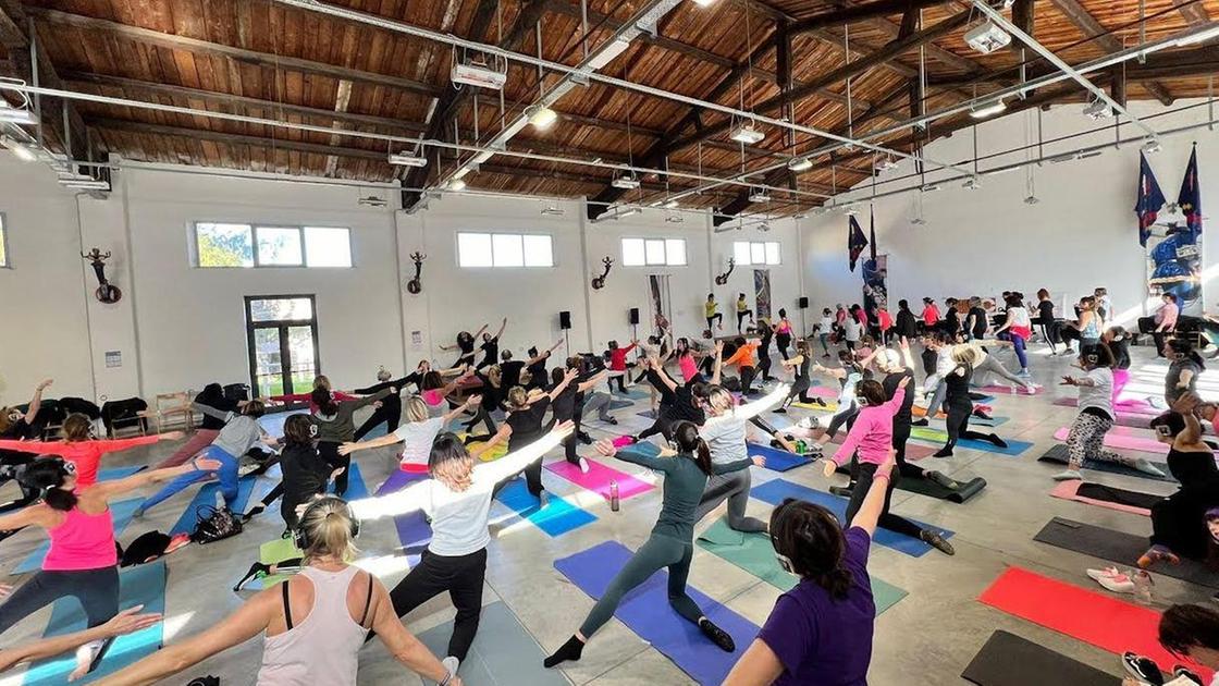 Gyms & Solidarity: Fundraising for Veronesi Foundation