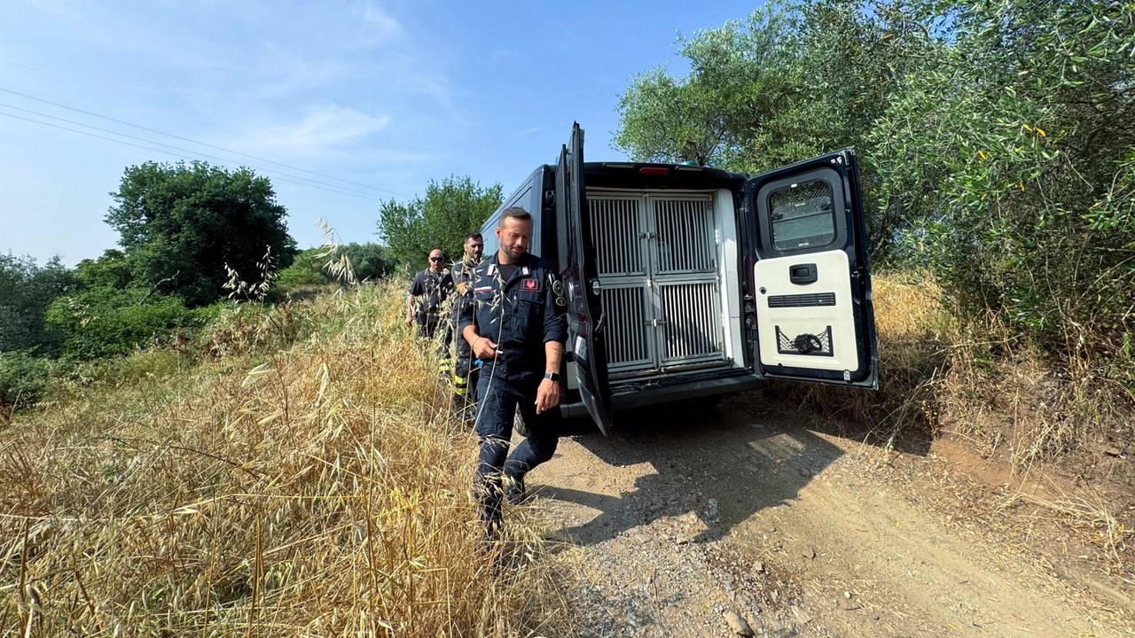 Il killer delle escort. Il campo degli orrori e le tracce: ‘Gli slip non sono di Denisa né di Ana’