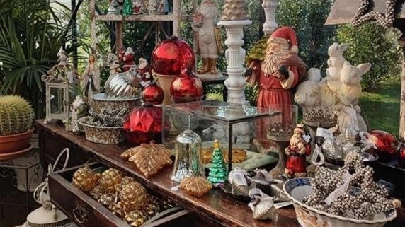 Una bella vista dell’Hortus Contemporaneo di Camaiore, un luogo dove si apprezza la natura e l’emozione che ci dona Una bella vista dell’Hortus Contemporaneo di Camaiore, un luogo dove si apprezza la natura e l’emozione che ci dona