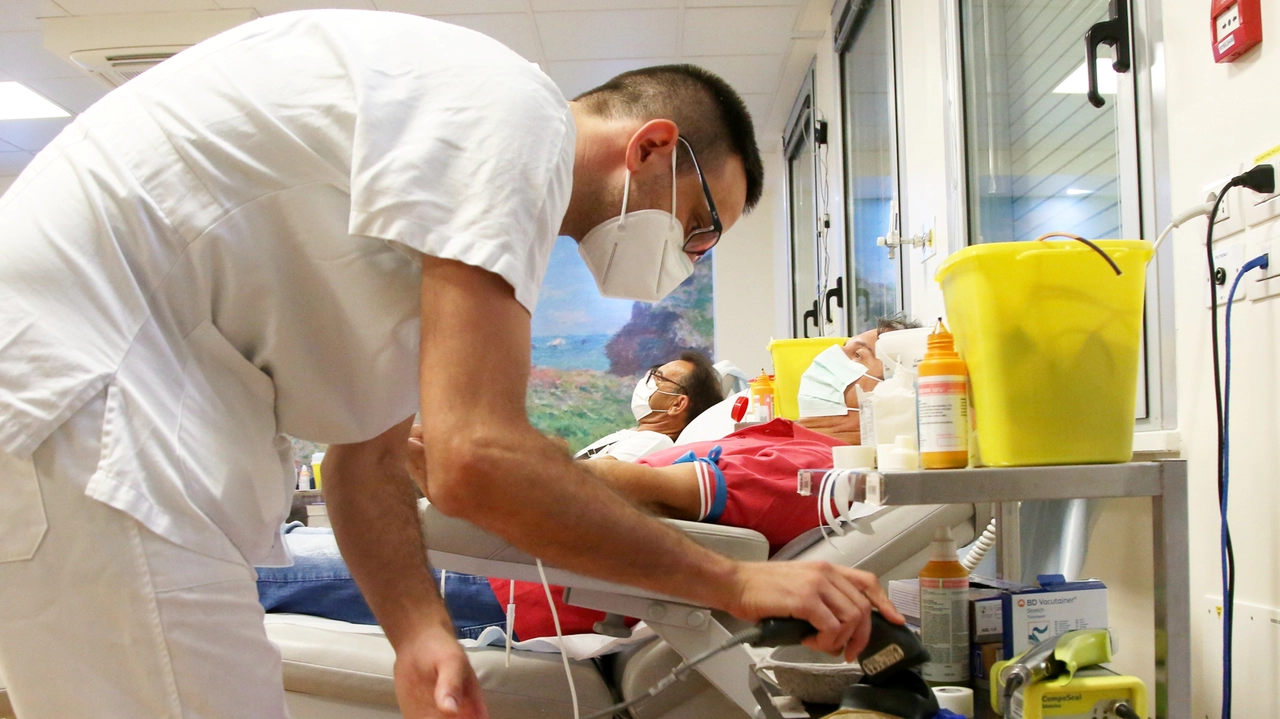 Donazione di sangue (foto di repertorio) Donazione di sangue (foto di repertorio)