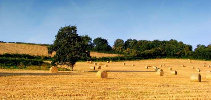 agricoltura delegazioni francia e italia studiano la toscana