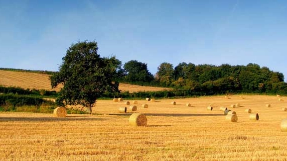 Confronto sul mondo dell'agricoltura Confronto sul mondo dell'agricoltura