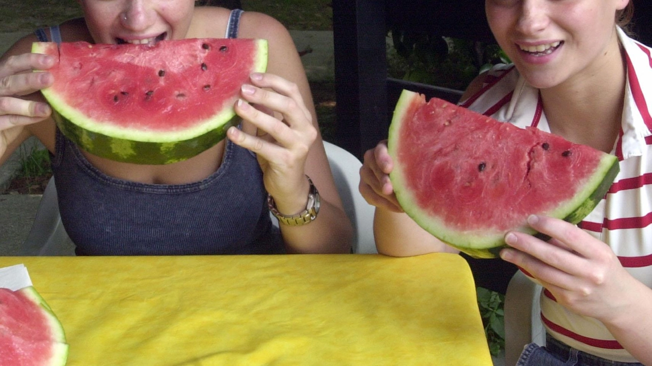 Caldo, come resistere. Ecco i consigli dell’Asl: "Frutta e verdura fresca contengono sali minerali"