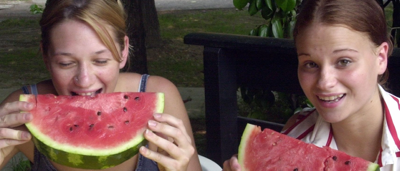Caldo, come resistere. Ecco i consigli dell’Asl: "Frutta e verdura fresca contengono sali minerali"