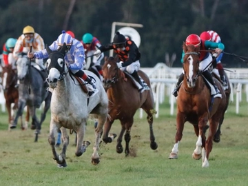immagine articolo