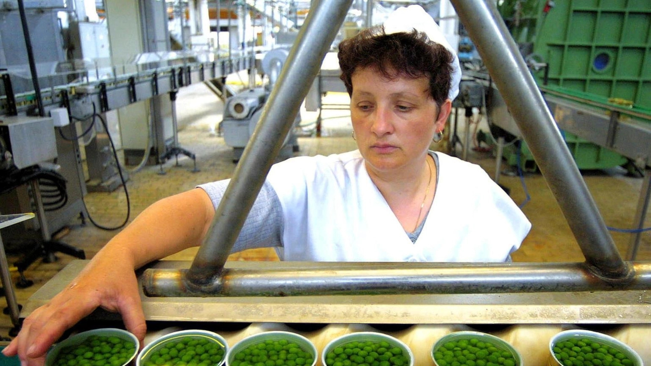 Aumenta la disoccupazione giovanile femminile, che invece scende in Italia e Umbria