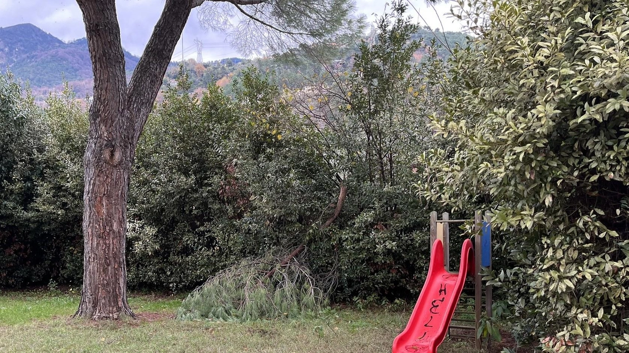 Una porzione del parco di Borgo del Ponte, due anni fa in abbandono Una porzione del parco di Borgo del Ponte, due anni fa in abbandono