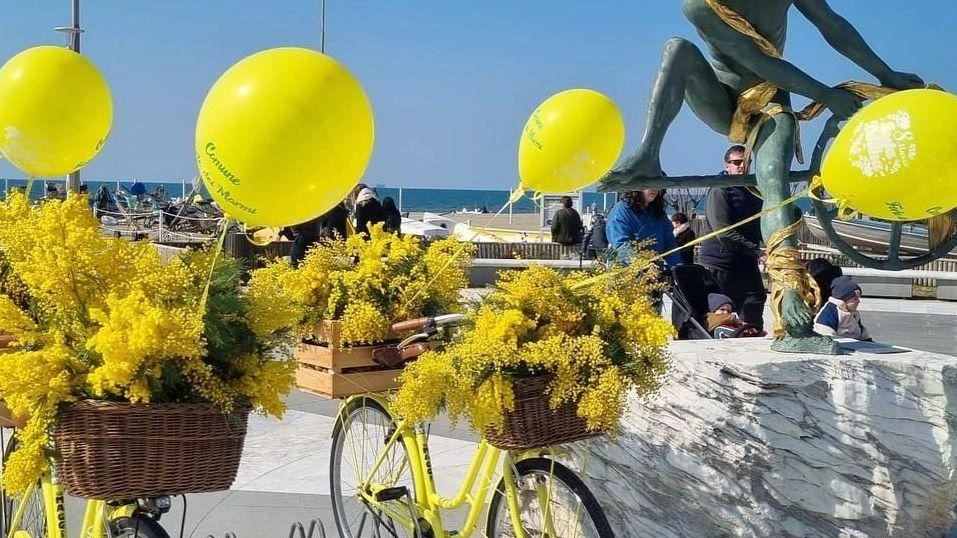Tante le iniziative che accompagneranno la celebrazione della «Giornata della donna» Tante le iniziative che accompagneranno la celebrazione della «Giornata della donna»