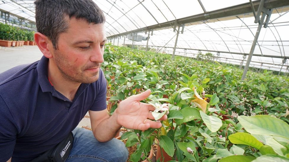 Previsto un aumento delle retribuzioni del 7% a partire da ora. La soddisfazione dei sindacati di categoria. Siena prima provincia in Toscana per numero di produzioni di qualità, coltivazioni biologiche e agriturismi. Previsto un aumento delle retribuzioni del 7% a partire da ora. La soddisfazione dei sindacati di categoria. Siena prima provincia in Toscana per numero di produzioni di qualità, coltivazioni biologiche e agriturismi.