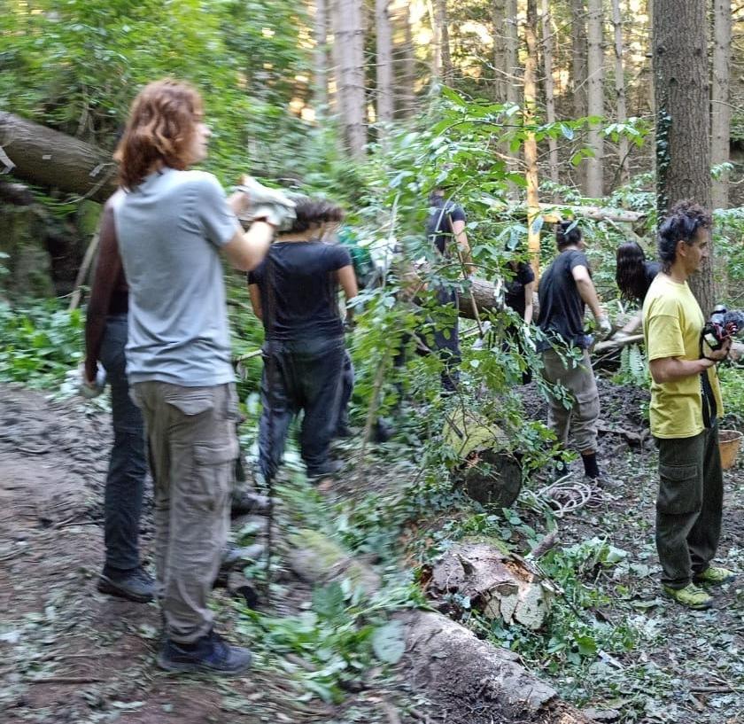 Foresta di Sant’Antonio da rilanciare. Progetto per recuperare l’area umida