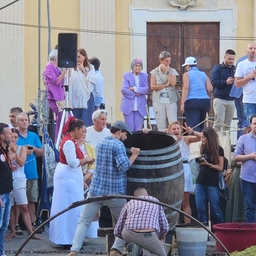 Dubbi sulla Sagra dell’Uva. “La manifestazione ci sarà, il programma è pronto”