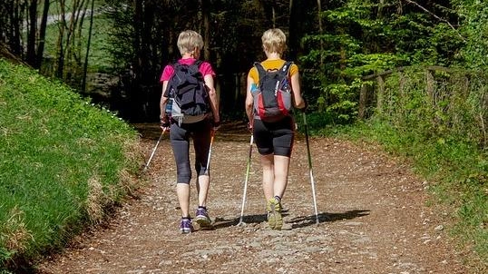 Domani il ritrovo a Tonni, nel territorio di Sovicille, per un percorso naturalistico e un ’cammino poetico’.