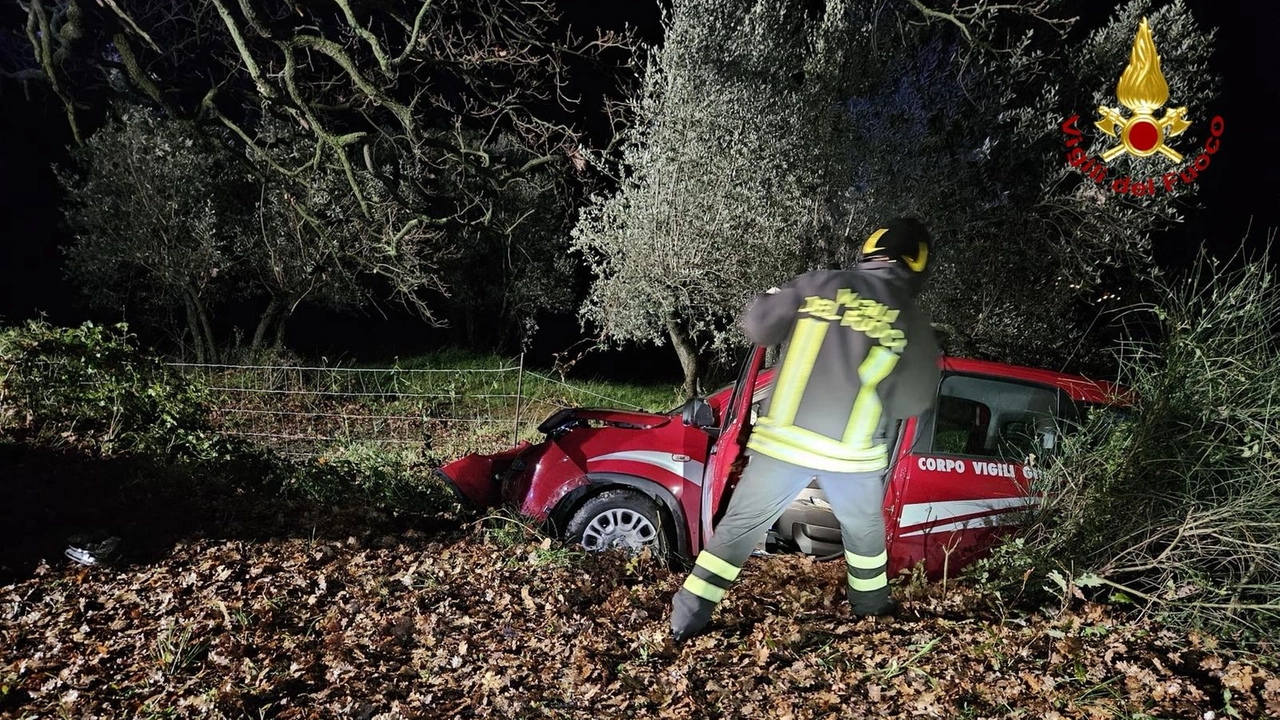 L'auto finita contro l'albero e l'intervento di soccorso dei vigili del fuoco