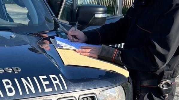 Indagini condotte dai carabinieri Indagini condotte dai carabinieri