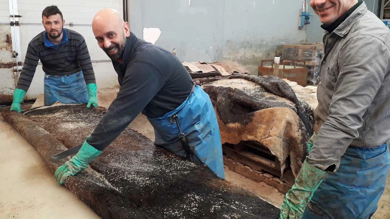 Ci sono opportunità nel conciario e nel calzaturiero. E’ in corso la selezione di un Impiegato per azienda settore conciario.... Ci sono opportunità nel conciario e nel calzaturiero. E’ in corso la selezione di un Impiegato per azienda settore conciario....