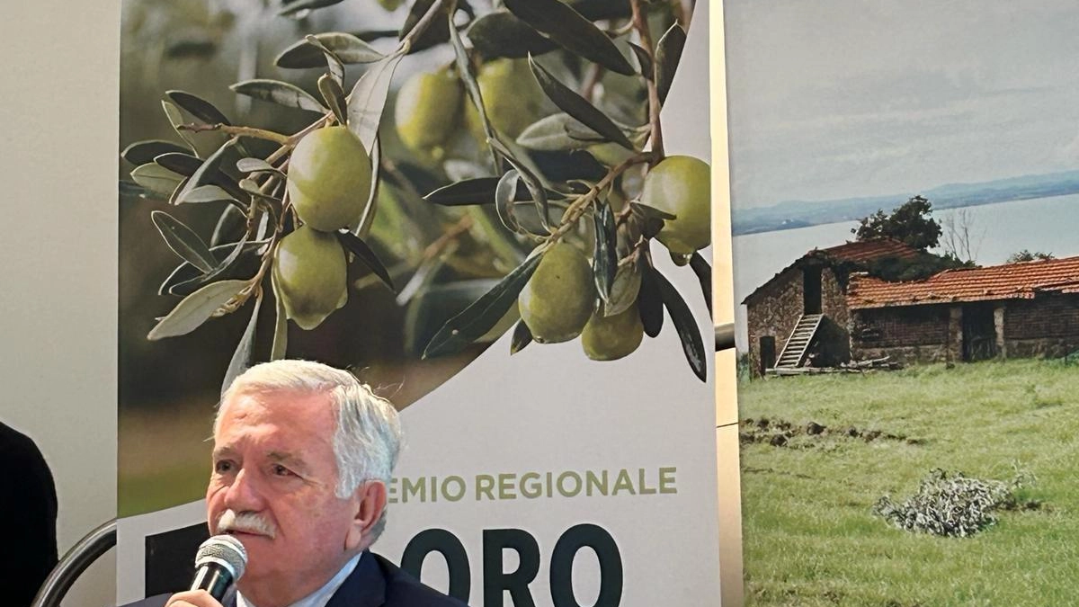 Entra nel vivo la XXXIII edizione del concorso nazionale Ercole Olivario, che premia le eccellenze olearie di tutta Italia, con... Entra nel vivo la XXXIII edizione del concorso nazionale Ercole Olivario, che premia le eccellenze olearie di tutta Italia, con...