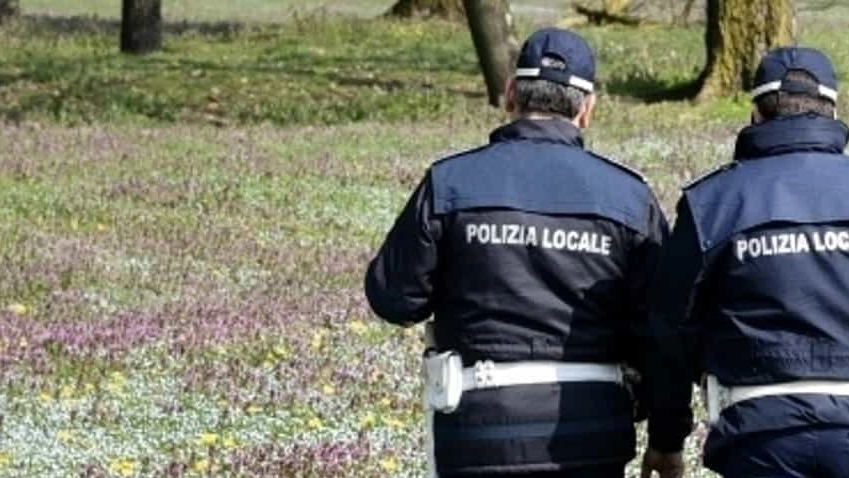 Polizia locale Polizia locale