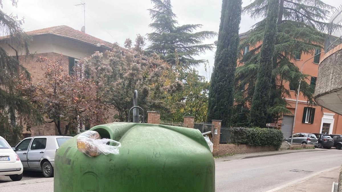 Un cittadino segnala l’ennesimo caso di mala gestione della differenziata. Qui siamo in via della Pescara e la campana di... Un cittadino segnala l’ennesimo caso di mala gestione della differenziata. Qui siamo in via della Pescara e la campana di...